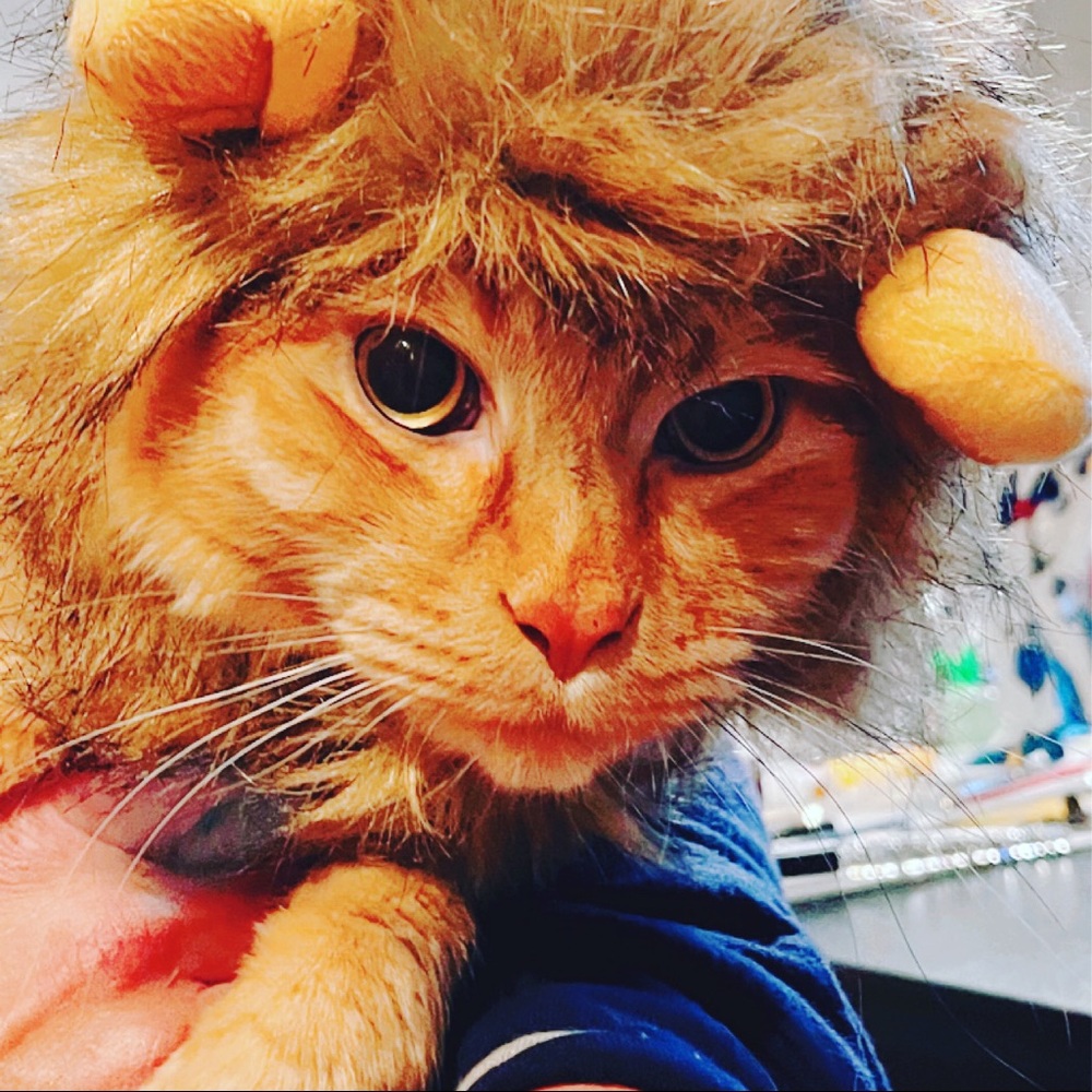 Meet your Posher, Patty